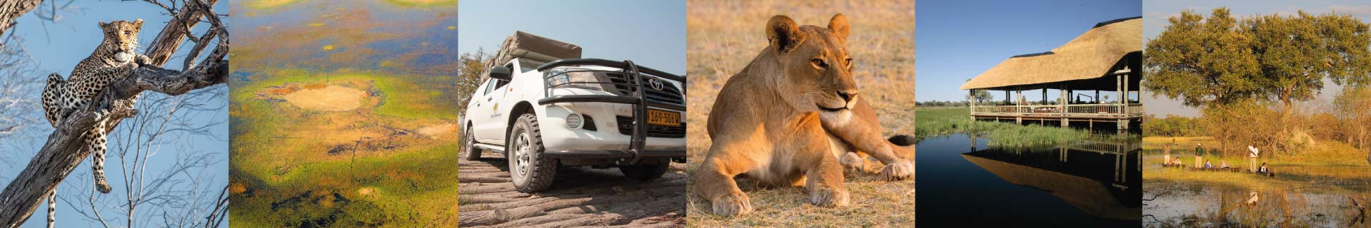 Explore-Botswana-home-gallery-footer
